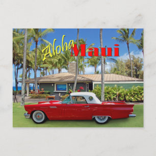 D.T.Fleming Beach Park Postcard