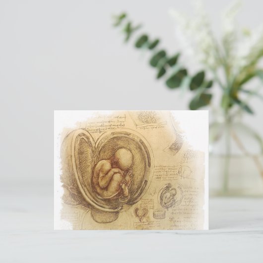 da Vinci - Embryo Sketch (Standing Front)