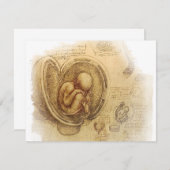 da Vinci - Embryo Sketch (Front/Back)