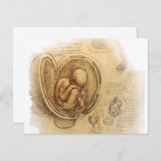 da Vinci - Embryo Sketch (Front/Back)