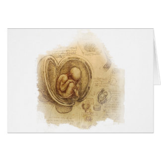 da Vinci - Embryo Sketch Cards