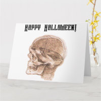 Da Vinci Halloween Science Anatomy Skull Print