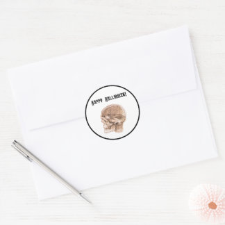 Da Vinci Halloween Science Anatomy Skull Print Classic Round Sticker