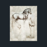 Da Vinci Horse Canvas Print<br><div class="desc">Leonardo da Vinci Horse or Leonardo’s Horse canvas wrap. Leonardo da Vinci was commissioned in 1482 to complete a horse sculpture for the duke of Milan. Though the project was never completed, the sketches created by the artist remain some of his most popular drawings. This Da Vinci horse sketch is...</div>