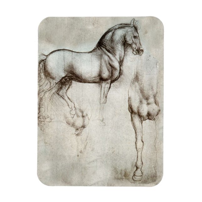 Da Vinci Horse Magnet (Vertical)