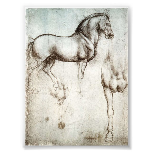 Da Vinci Horse Photo Print (Front)