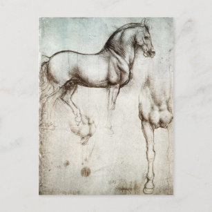 Da Vinci Horse Postcard