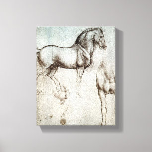 Da Vinci Horse Study Renaissance Sketch Fine Art Canvas Print