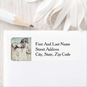 Da Vinci Horse Study Renaissance Sketch Fine Art Label