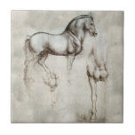 Da Vinci Horse Tile<br><div class="desc">Leonardo da Vinci Horse or Leonardo’s Horse tile. Leonardo da Vinci was commissioned in 1482 to complete a horse sculpture for the duke of Milan. Though the project was never completed, the sketches created by the artist remain some of his most popular drawings. This Da Vinci horse sketch is a...</div>