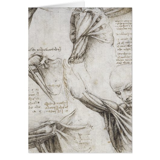 Da Vinci, Leonardo - Study of Anatomy Cards (Front)