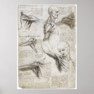Da Vinci, Leonardo, Study of Anatomy Poster