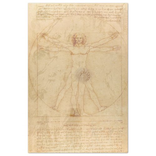 Da Vinci Vitruvian Man Decoupage Paper