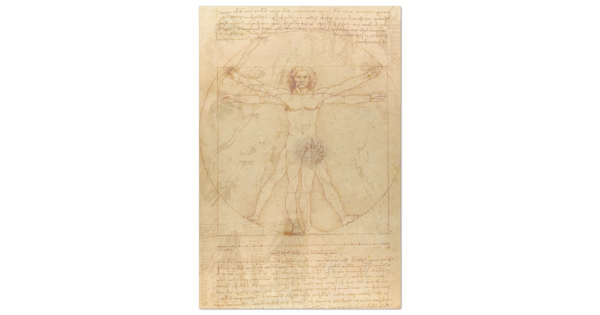 Websites on leonardo da vinci image