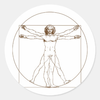Da Vinci Vitruvian Man Sticker