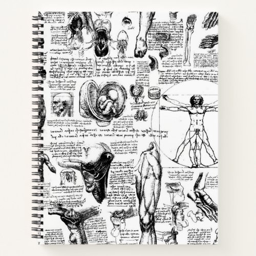 Da Vincis Anatomy Sketchbook Notebook