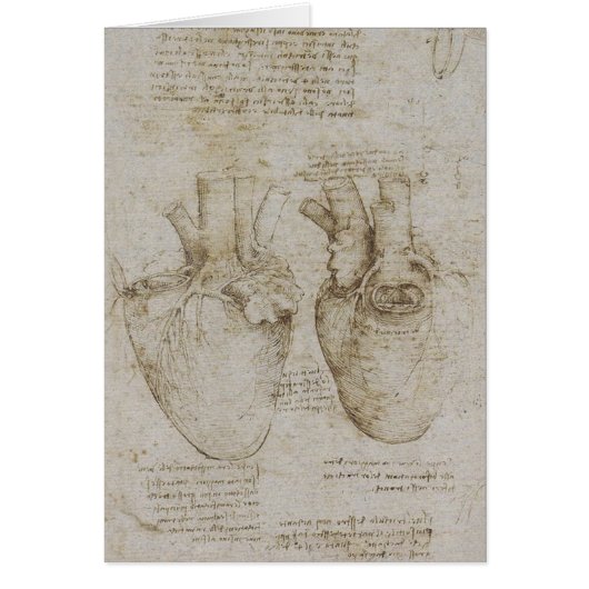 Da Vinci's Human Heart Anatomy Sketches (Front)