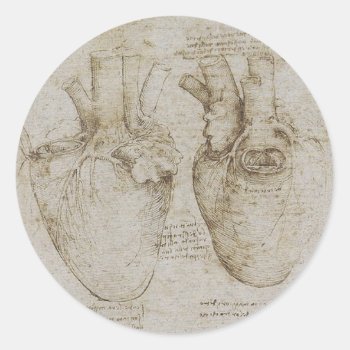 Da Vinci's Human Heart Anatomy Sketches Classic Round Sticker by ThinxShop at Zazzle