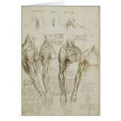 Da Vinci's Human Skeleton Anatomy Sketches (Front)