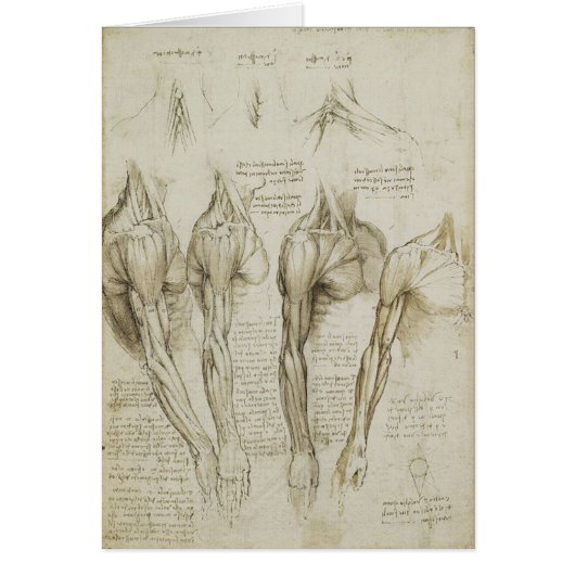 Da Vinci's Human Skeleton Anatomy Sketches (Front)