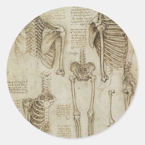 Da Vincis Human Skeleton Anatomy Sketches Classic Round Sticker