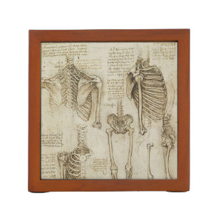 Da Vinci's Human Skeleton Anatomy Sketches Pencil Holder
