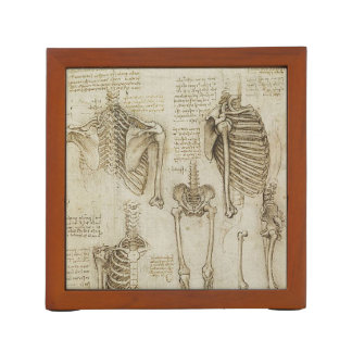 Da Vinci's Human Skeleton Anatomy Sketches Pencil Holder
