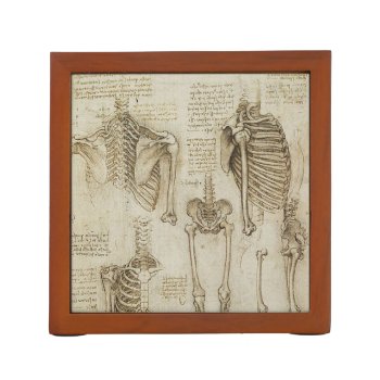 Da Vinci's Human Skeleton Anatomy Sketches Pencil Holder by ThinxShop at Zazzle