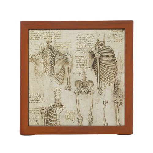 Da Vincis Human Skeleton Anatomy Sketches Pencil Holder