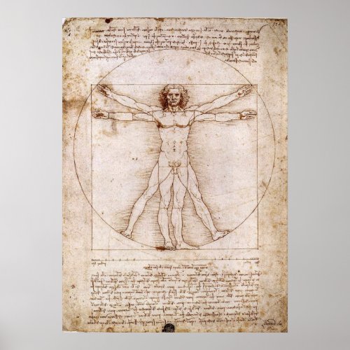 Da Vinvi Vitruvian Man  Poster