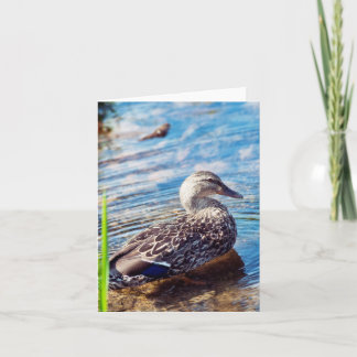 Dabbling Ripples Card