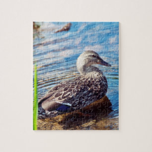 Dabbling Ripples Jigsaw Puzzle