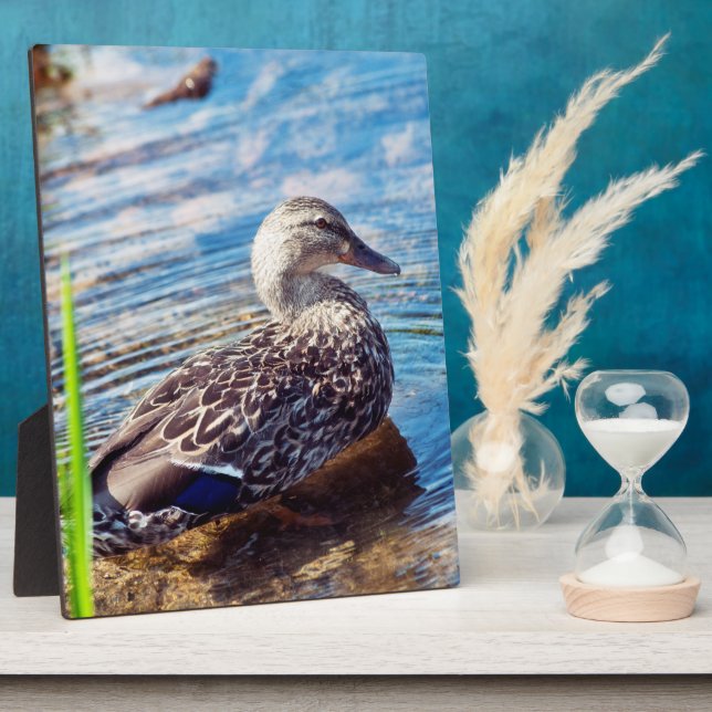 Dabbling Ripples Plaque (Side)