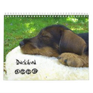 Dachshund 2009 - customizable calendar! calendar