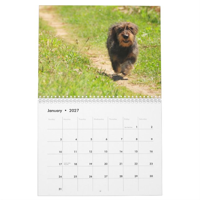 Dachshund 2011 - customizable calendar! calendar (Jan 2027)