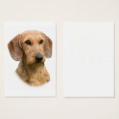 Dachshund 9Y426D-207-2 (Front & Back)