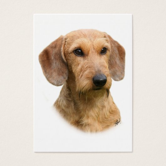 Dachshund 9Y426D-207-2 (Front)