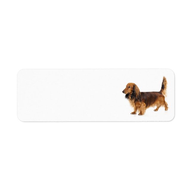Dachshund Address Label (Front)