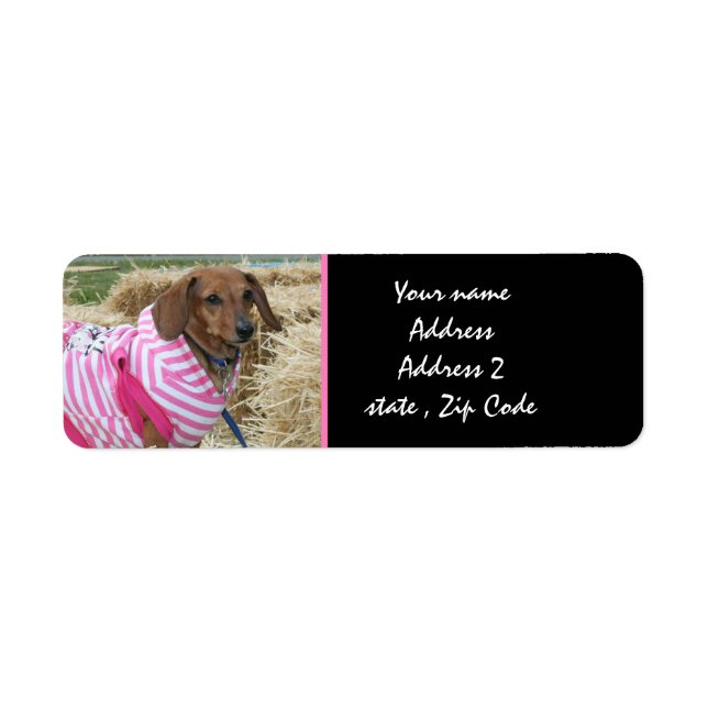 Dachshund Address Labels (Front)