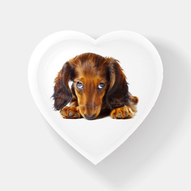 Dachshund Adorable Dog Animal Weiner Puppy Modern Paperweight (Front)