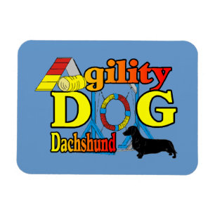 Dachshund_Agility Magnet