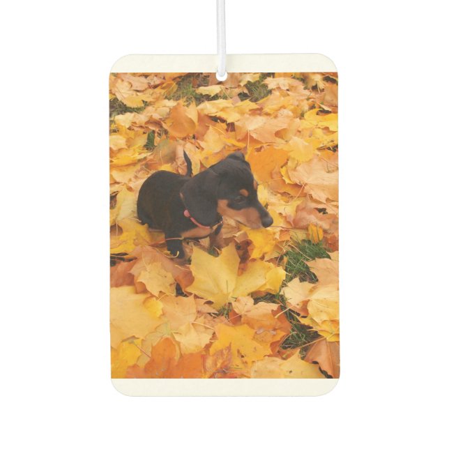 Dachshund airfreshener air freshener (Front)