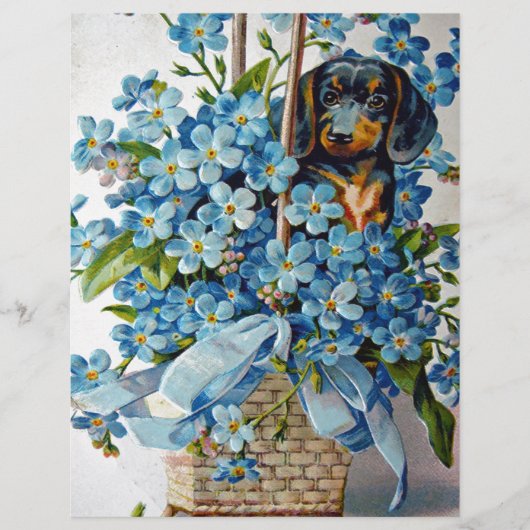 Dachshund and Forget-Me-Nots (Front)