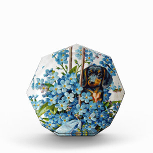 Dachshund and Forget-Me-Nots Acrylic Award