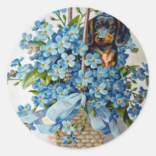 Dachshund and Forget-Me-Nots Classic Round Sticker