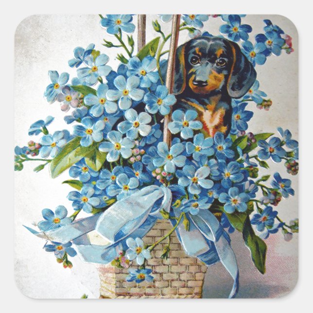 Dachshund and Forget-Me-Nots Square Sticker (Front)