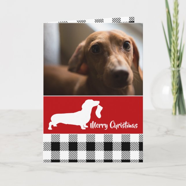 Dachshund and Plaid Christmas Holiday Card (Front)