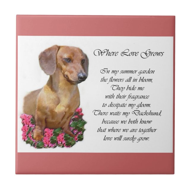 Dachshund Art Gifts Tile (Front)