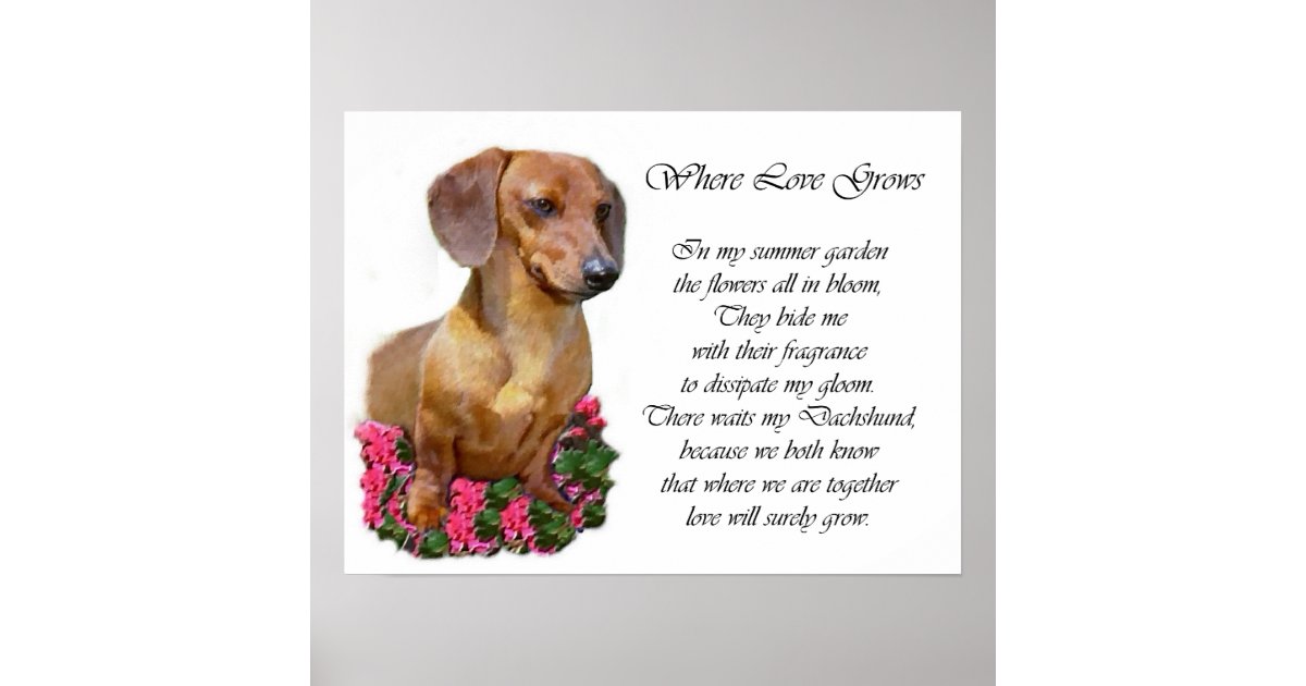 dachshund art print zazzle free printable 1st birthday cards