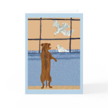 Dachshund at Window watching White Doves
